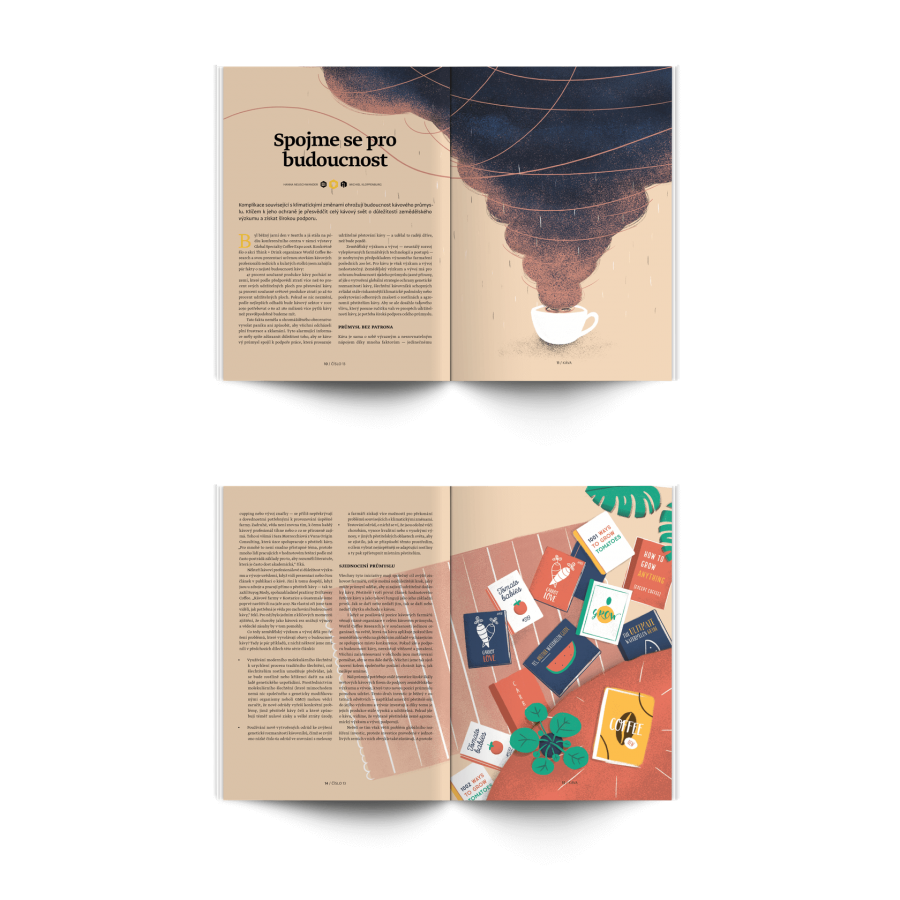 Časopis Standart č. 13