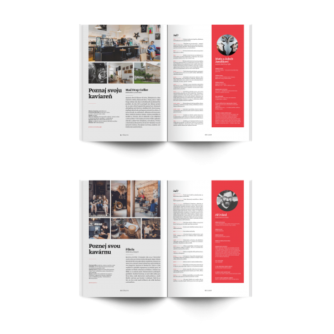 Časopis Standart č. 13