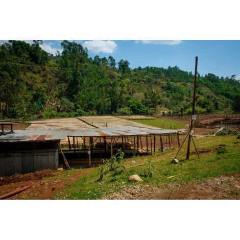 Nordbeans Etiopie Bombe washed 200g