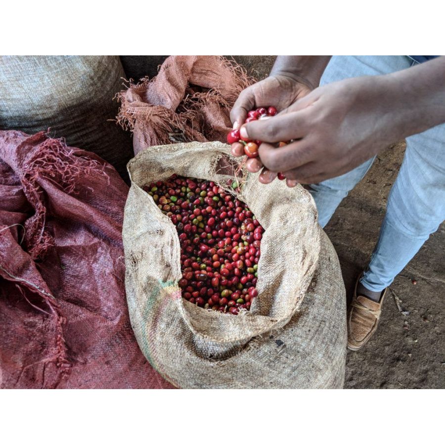 Nordbeans Etiopija Koke 200g