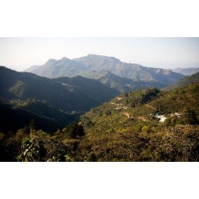 Guatemala Tres Maria kava u zrnu, arabica 2
