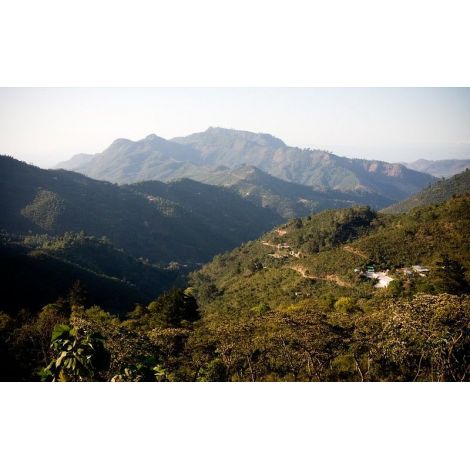 Guatemala Trés Maria, Arabica zrna kave