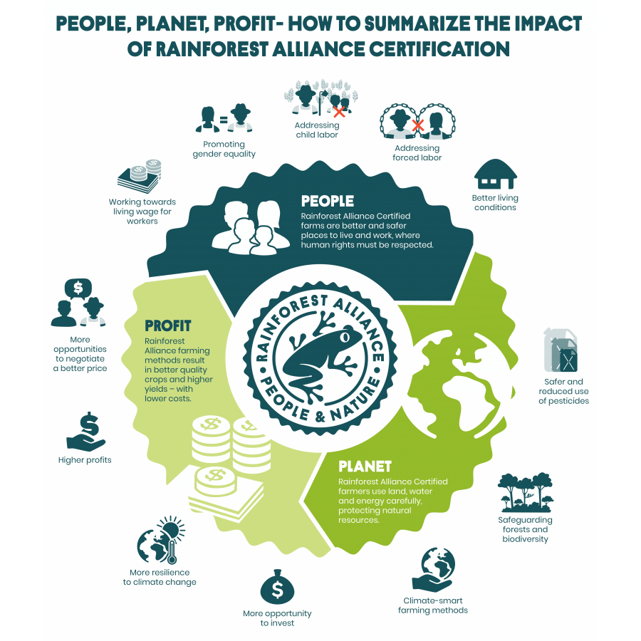 Brazil Fazenda Rainforest, Arabica zrna kave