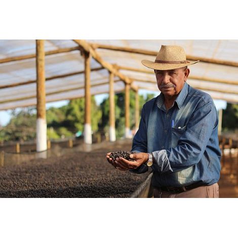 Nordbeans Brazílie Sao Silvestre 200g