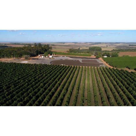 Nordbeans Horizont za espresso 250g