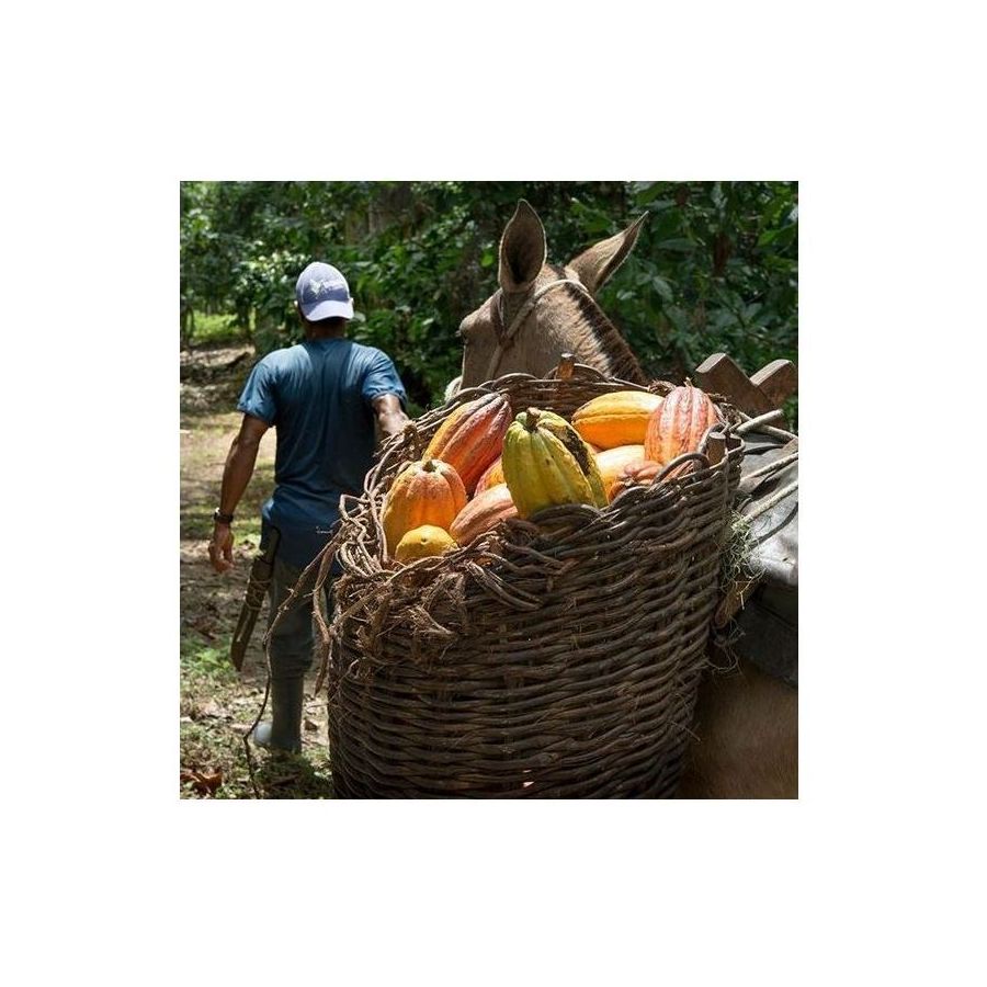 Čokolada Michel Cluizel Arcango Grand Noir 85%