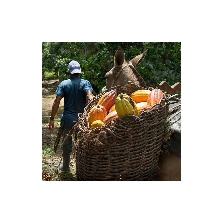 Čokoladna Bonboniéra Michel Cluizel "8 Cappuccino" - POPUST