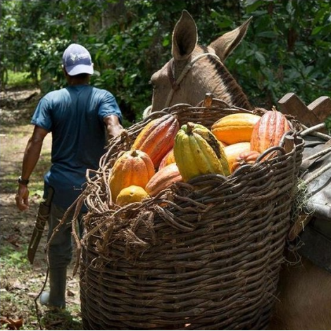 Čokoladna Bonboniéra Michel Cluizel "8 Cappuccino" - POPUST