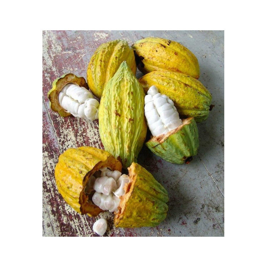 Čokoladna Bonboniéra Michel Cluizel "8 Cappuccino" - POPUST