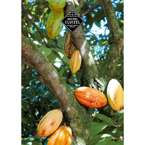 Čokoladna Bonboniéra Michel Cluizel "8 Cappuccino" - POPUST