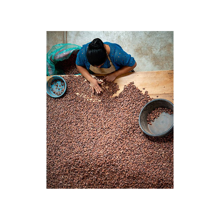 Čokoladna Bonboniéra Michel Cluizel "8 Cappuccino" - POPUST