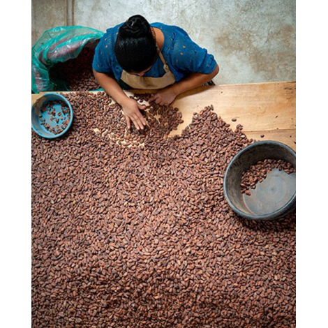 Čokoladna Bonboniéra Michel Cluizel "8 Cappuccino" - POPUST