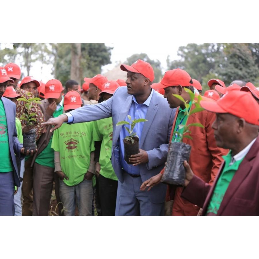 Nordbeans Etiopie Hamasho natural 250g