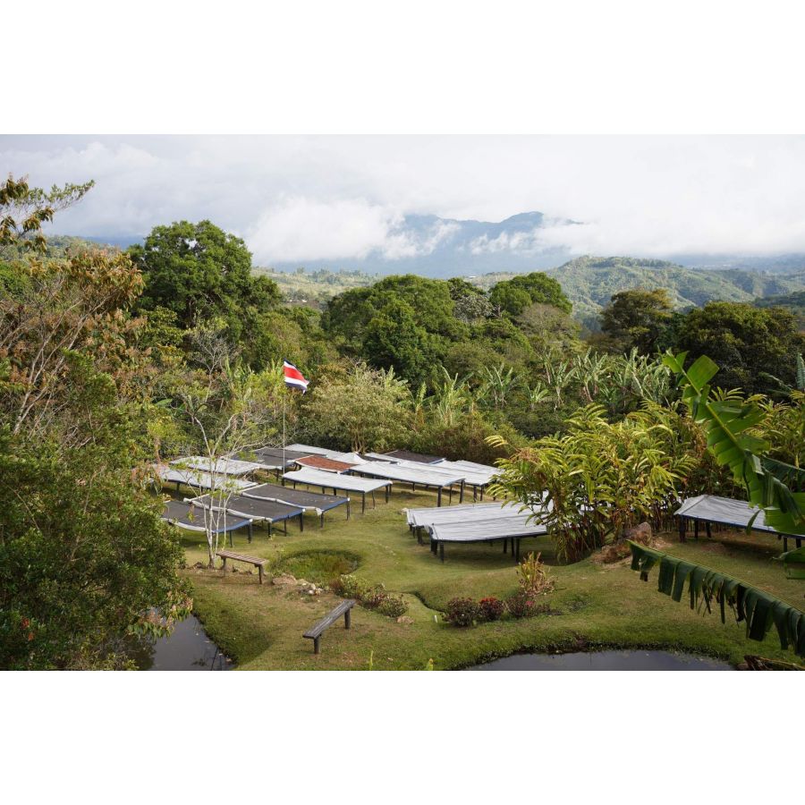 Nordbeans Kostarika Funky 250g