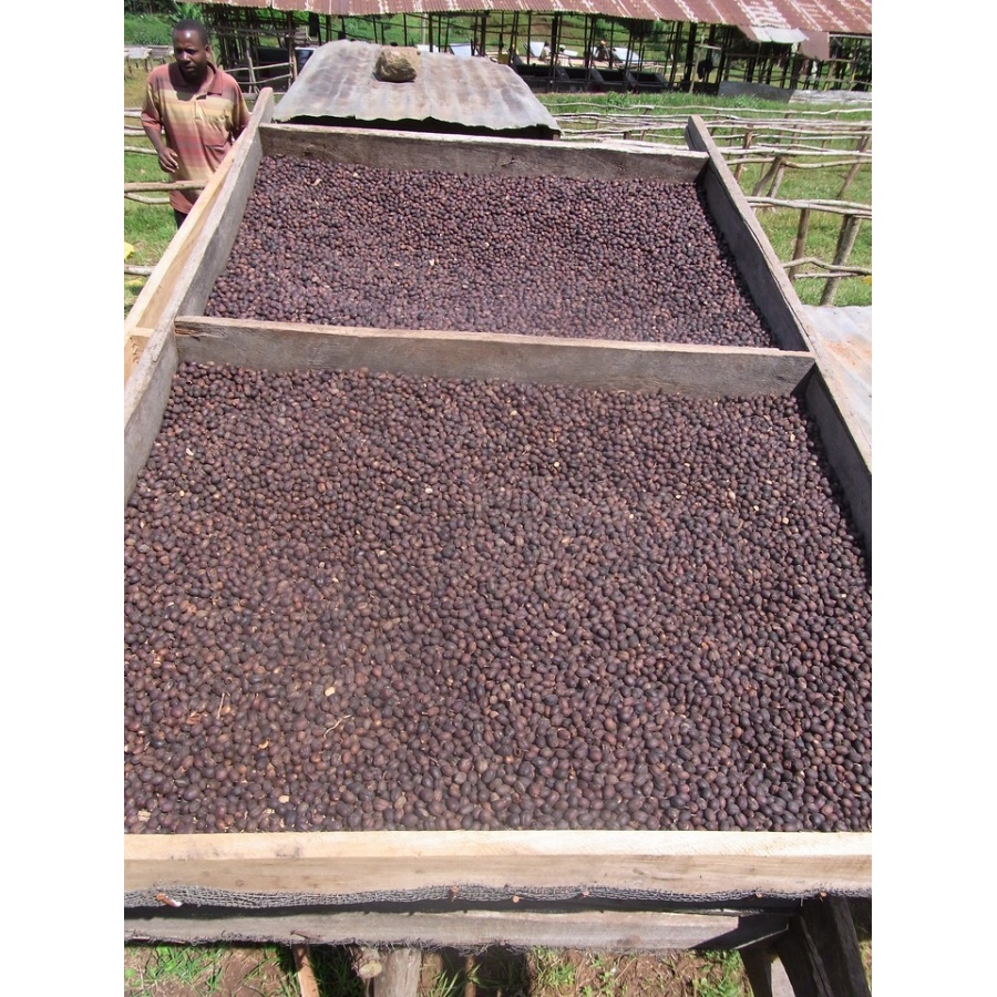 GourmetKava Specialty Ethiopia Chelbesa Natural 250 g