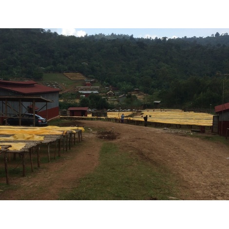 GourmetKáva Specialty - Etiopie Chelbesa Natural 250g