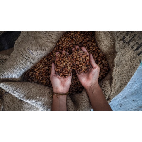 GourmetKava Specialty Mexico SV Kitos 250 g