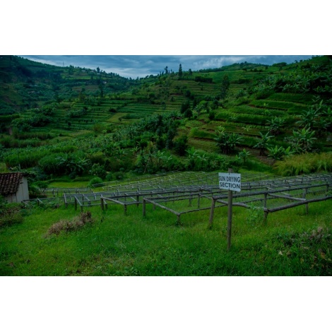 GourmetKava Specialty Rwanda Ngororero 250 g