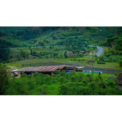 GourmetKava Specialty Rwanda Ngororero 250 g