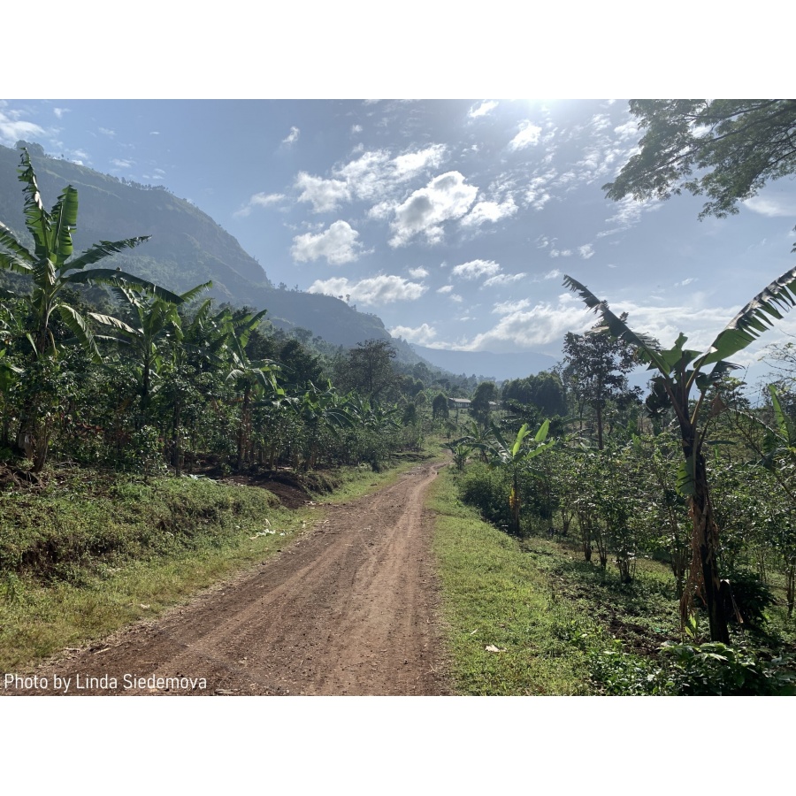 Gourmet kava Specialty Uganda Buwobodeya 250g