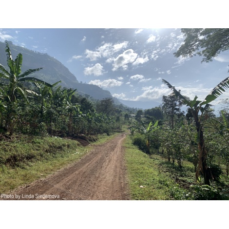 Gourmet kava Specialty Uganda Buwobodeya 250g