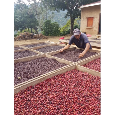 GourmetKava Specialty El Salvador V. Hermosa Anaerobic 250 g