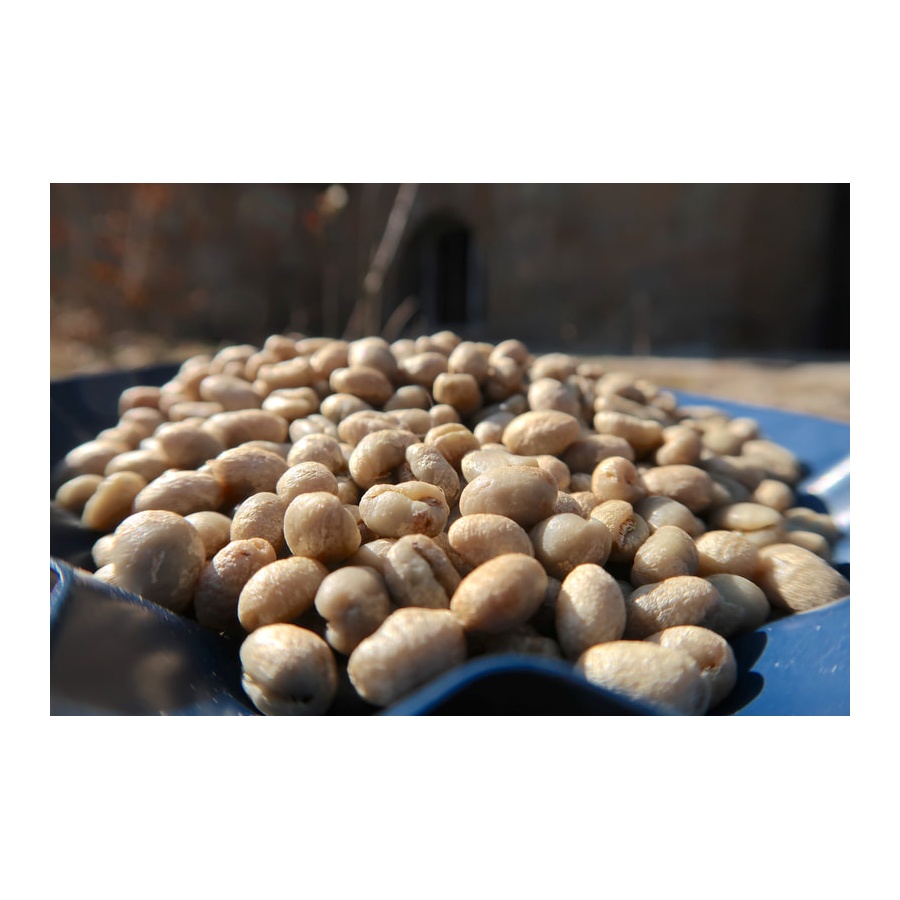 Gurmanska kava Specialty Kenya Wamuguma PB 250g