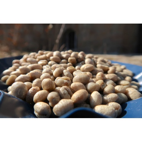 Gurmanska kava Specialty Kenya Wamuguma PB 250g