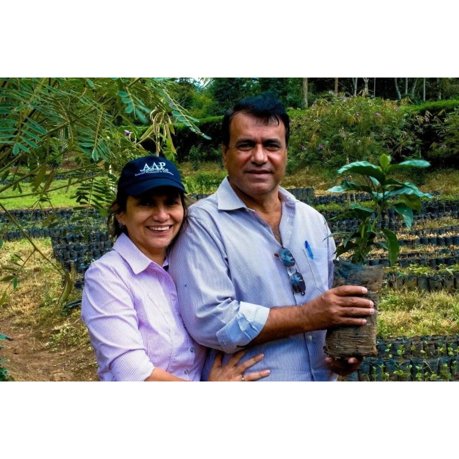 Beansmiths Nicaragua - Finca Aurora, 250g