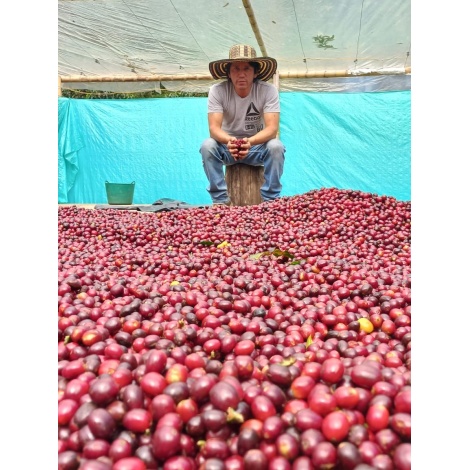 Gurmanska kava Specialty Columbia El Agrado Honey 250g