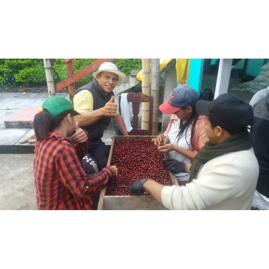 Gurmanska kava Specialty Columbia El Agrado Honey 250g