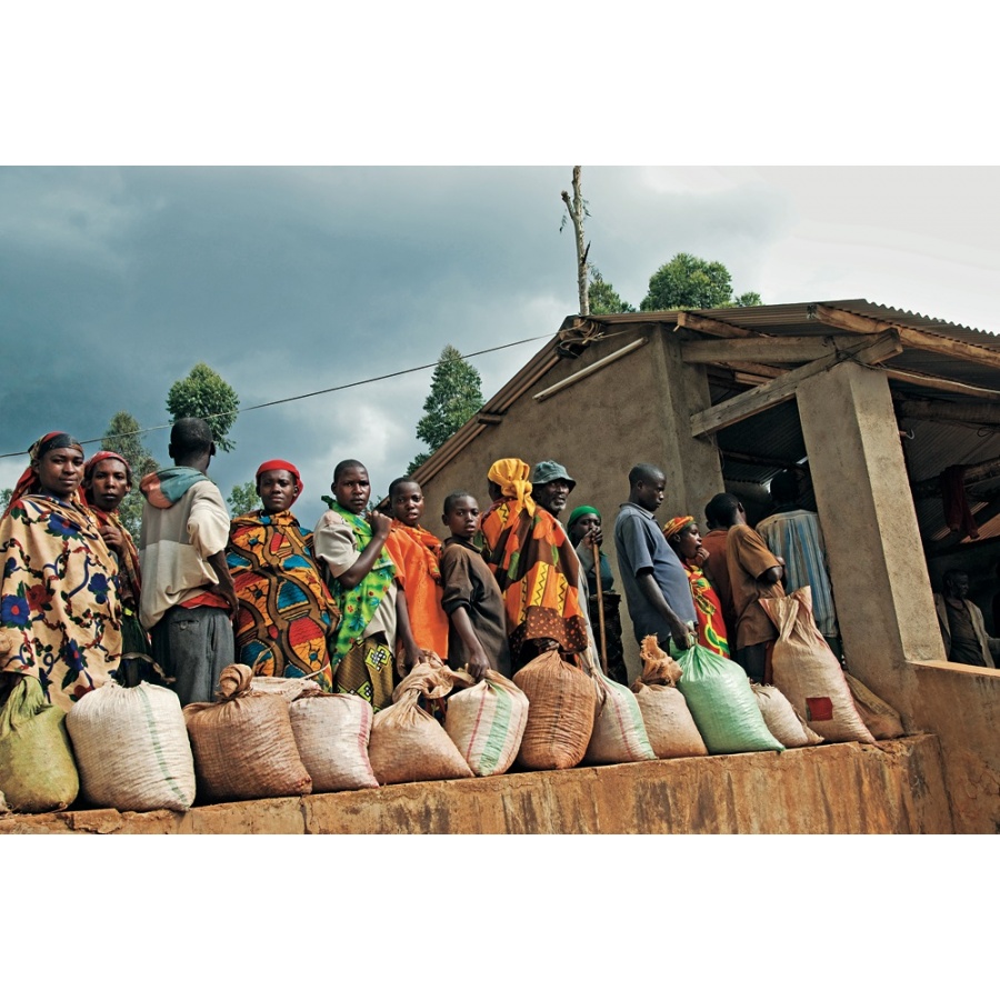 The World Atlas of Coffee, 2. izdanje – James Hoffmann