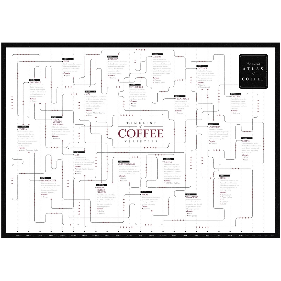 The World Atlas of Coffee, 2. izdanje – James Hoffmann