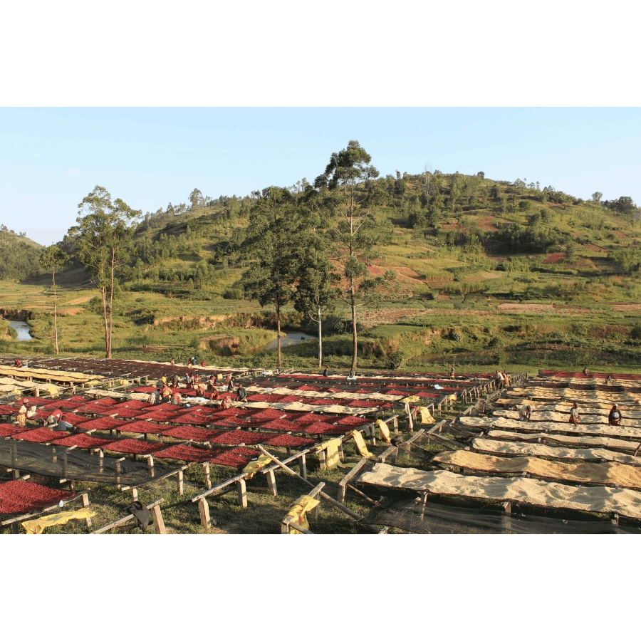 Gurmanska kava Specialty Burundi Gakenke 250g