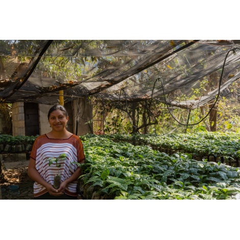 GourmetKáva Specialty Guatemala Huehuetenango 250g