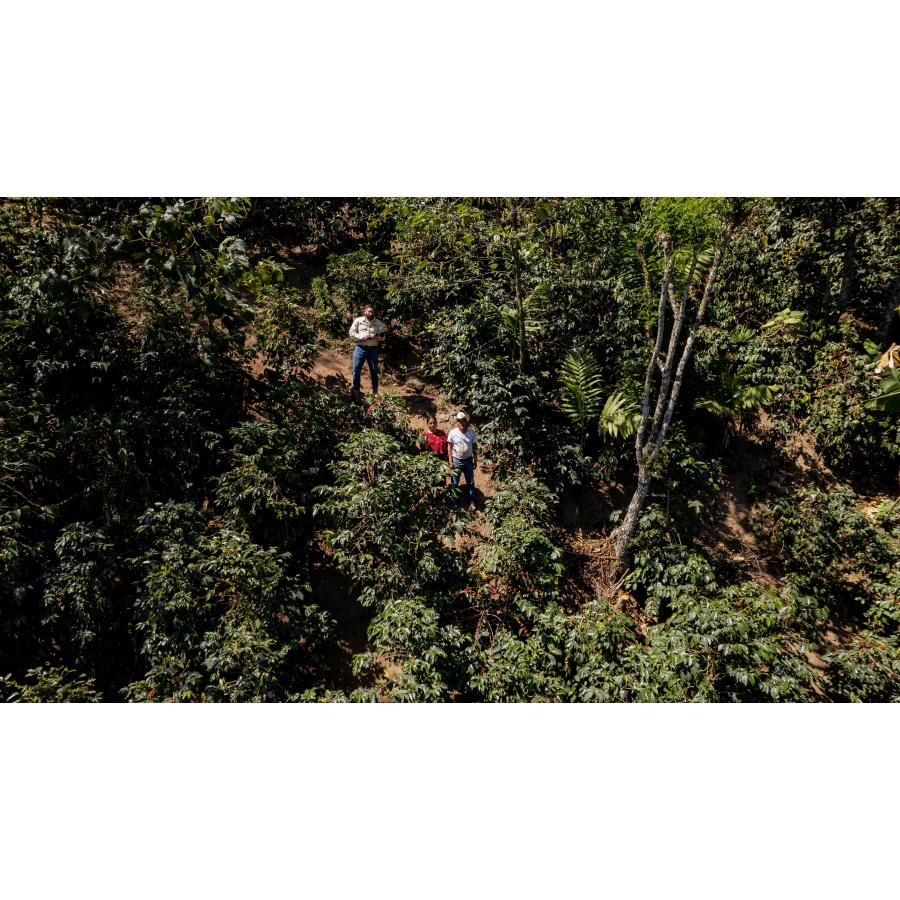 GourmetKáva Specialty Guatemala Huehuetenango 250g