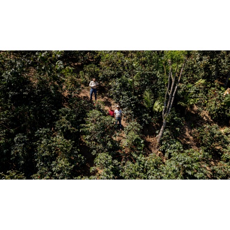 GourmetKáva Specialty Guatemala Huehuetenango 250g