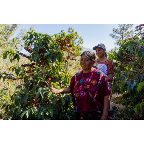 GourmetKáva Specialty Gvatemala Huehuetenango ESP 250g