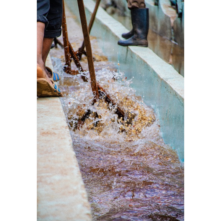 Gourmet kava Specialty Kenya Baragwi - Guama AA 250g