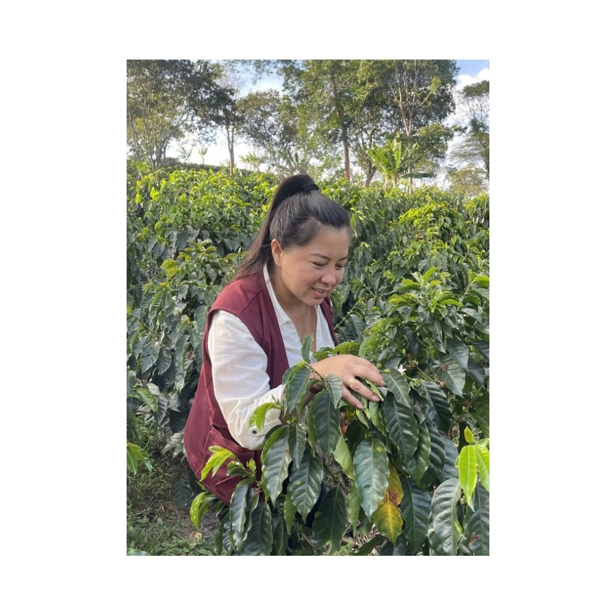 GourketSpecialty Coffee Columbia D. Sambony 250g