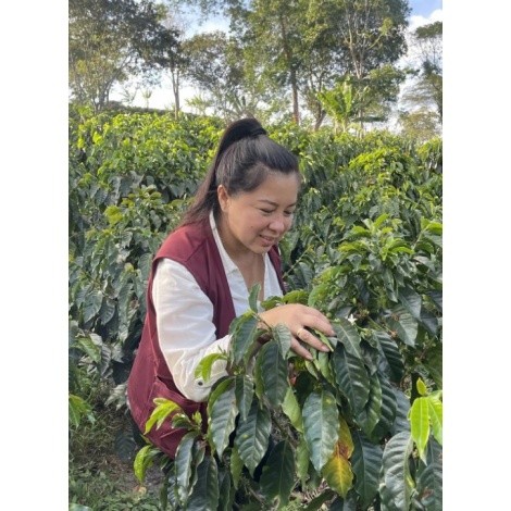 GourketSpecialty Coffee Columbia D. Sambony 250g