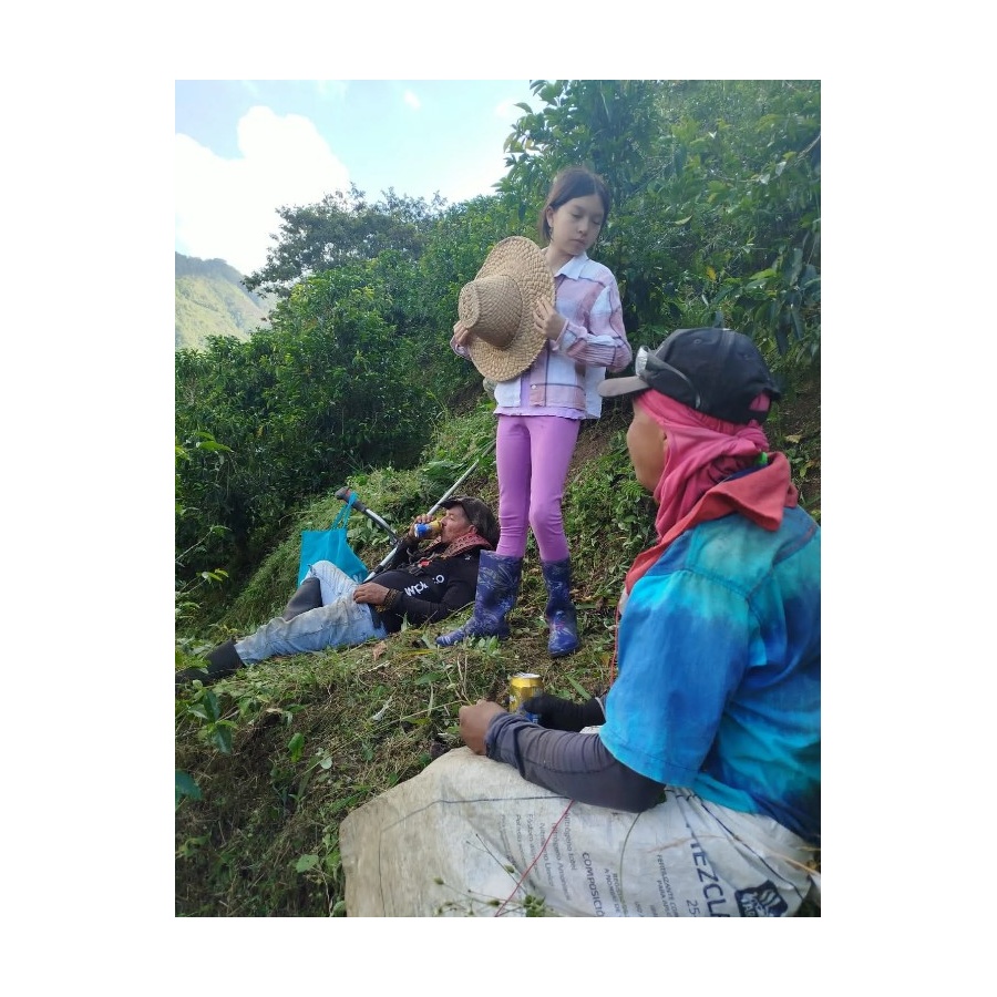 GourketSpecialty Coffee Columbia D. Sambony 250g