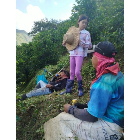 GourketSpecialty Coffee Columbia D. Sambony 250g