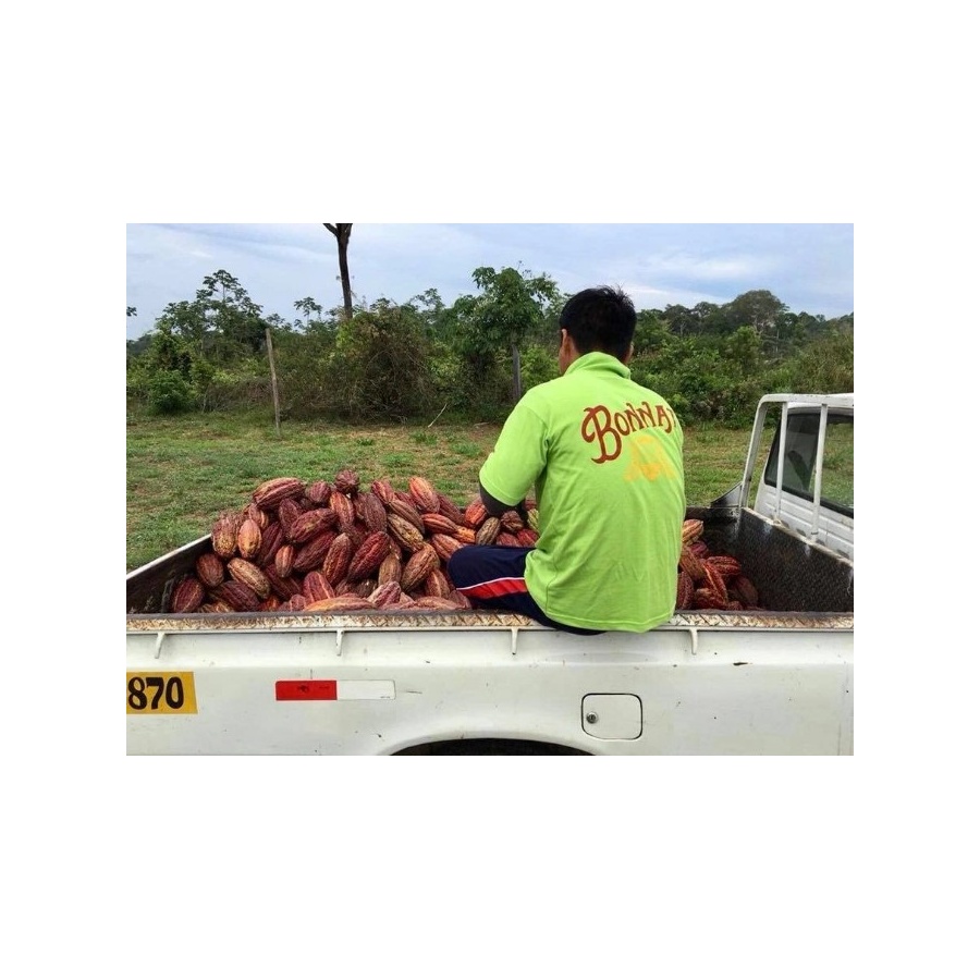 Bonnat čokolada 100%