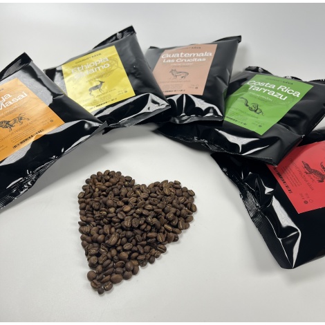 Etiopija Sidamo, SREDNJE PRŽENA, zrna kava arabica