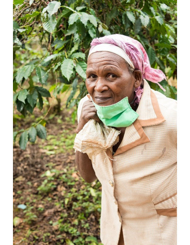 Gurmanska kava - Kenya Nyeri 250g