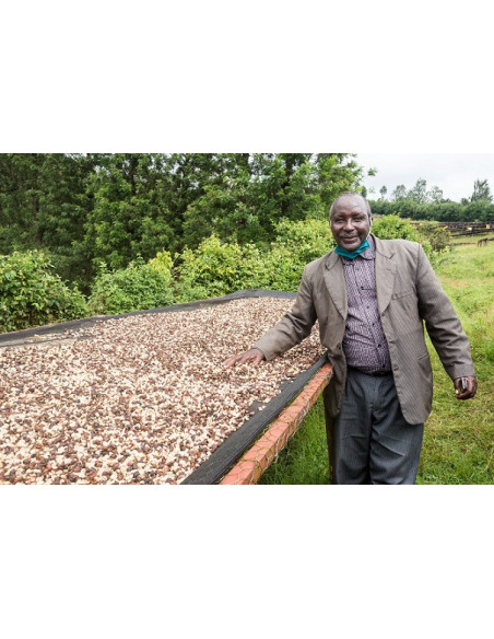 Gurmanska kava - Kenya Nyeri 250g