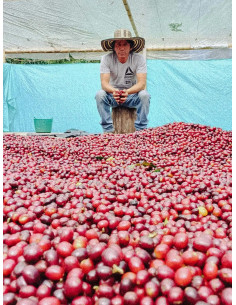 Father's Coffee Colombia Inzá 300 g 2