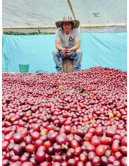 Očeva kava Kolumbija Inza 300g