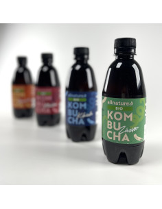 Allnature Kombucha đumbir BIO 330 ml 2